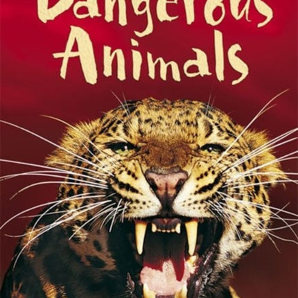 Dangerous Animals