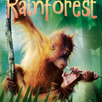 Rainforests