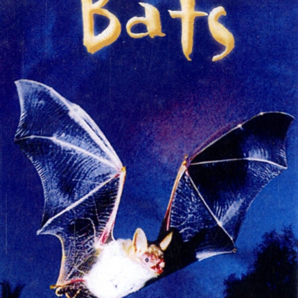 Bats