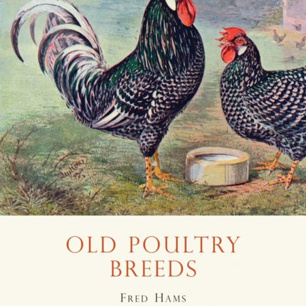 Old Poultry Breeds
