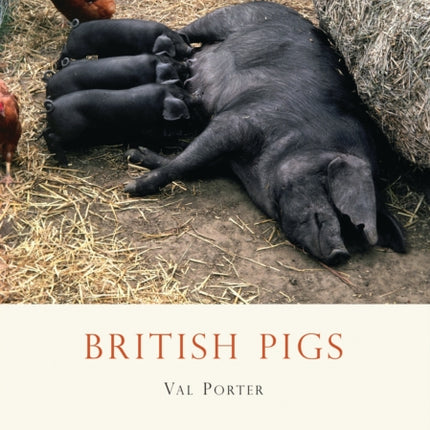 British Pigs No 340 Shire Library