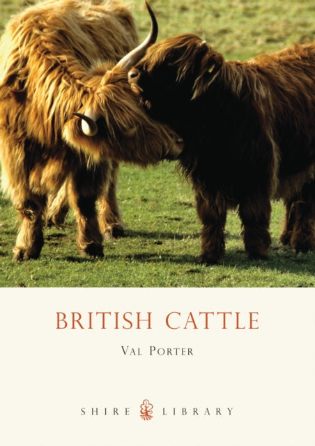 British Cattle No 392 Shire Library