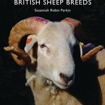 British Sheep Breeds