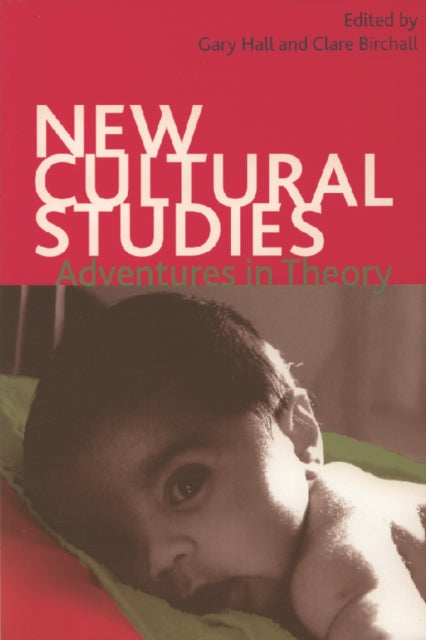 New Cultural Studies: Adventures in Theory