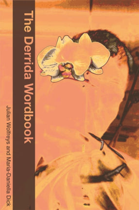 The Derrida Wordbook