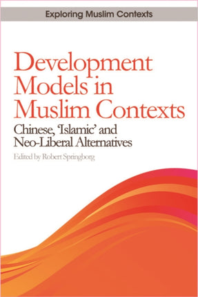 Development Models in Muslim Contexts: Chinese, 'Islamic' and Neo-liberal Alternatives