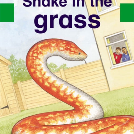 Wellington Square Assessment Kit - Snake in the Grass