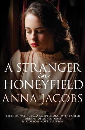 A Stranger in Honeyfield: From the multi-million copy bestselling author