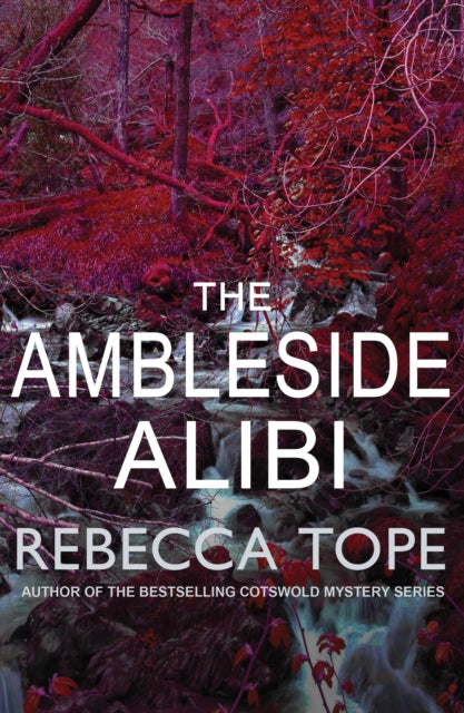 The Ambleside Alibi: The gripping English cosy crime series