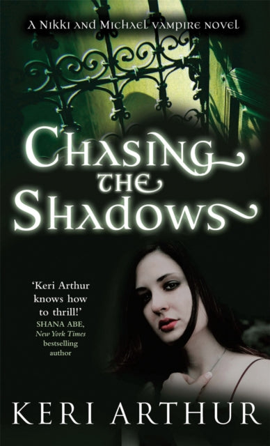 Chasing The Shadows: Number 3 in series