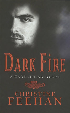 Dark Fire: Number 6 in series