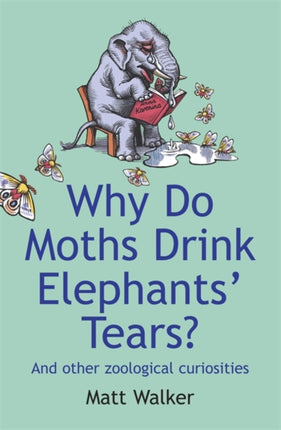 Why Do Moths Drink Elephants Tears