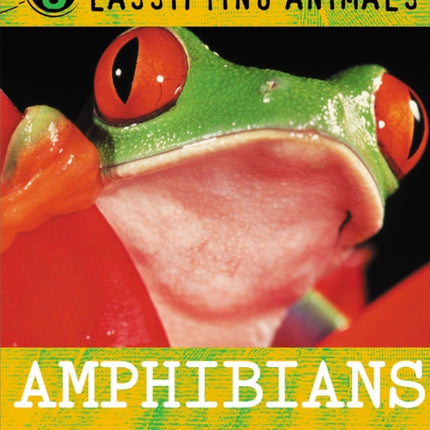 Classifying Animals Amphibians