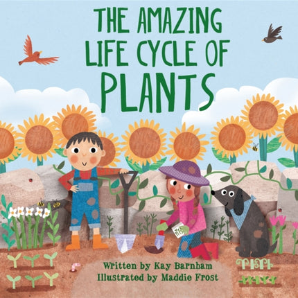 Look and Wonder: The Amazing Plant Life Cycle Story