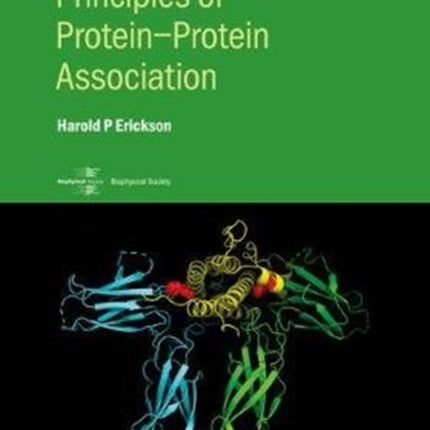 Principles of ProteinProtein Association