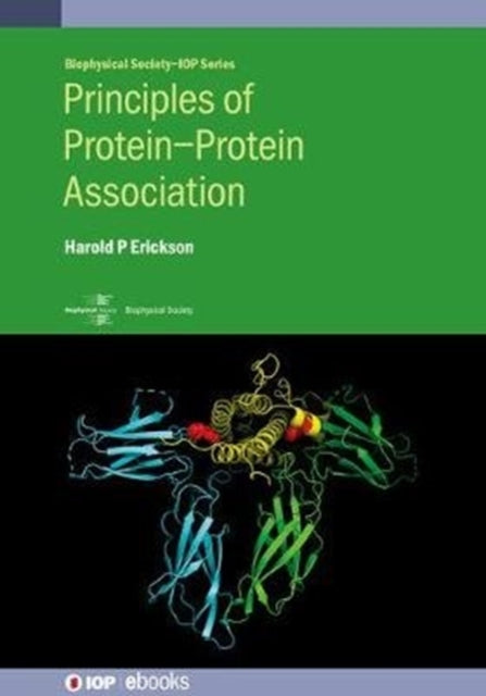 Principles of ProteinProtein Association