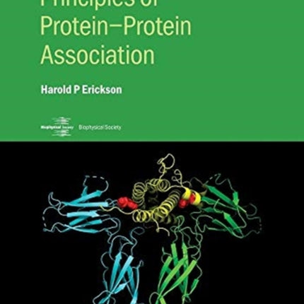 Principles of ProteinProtein Association