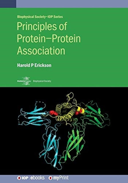 Principles of ProteinProtein Association