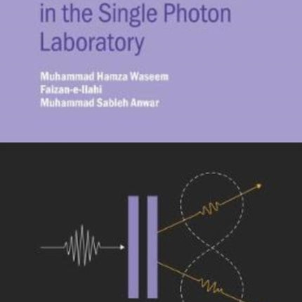 Quantum Mechanics in the Single Photon Laboratory