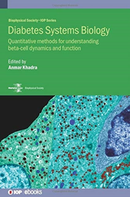 Diabetes Systems Biology