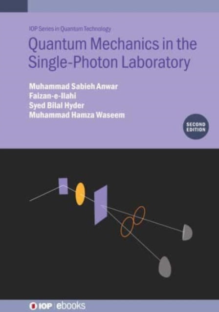 Quantum Mechanics in the SinglePhoton Laboratory