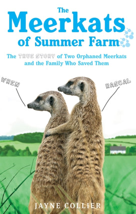 The Meerkats Of Summer Farm The True Story of Two