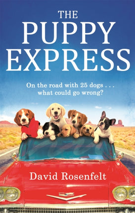 The Puppy Express On the road with 25 rescue dogs