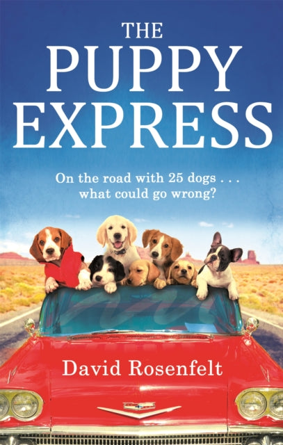The Puppy Express On the road with 25 rescue dogs