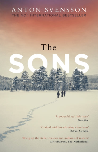 The Sons: The completely thrilling follow-up to crime bestseller The Father