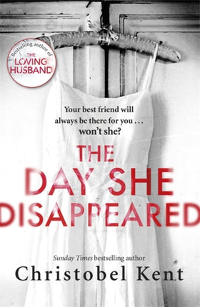 Day She Disappeared