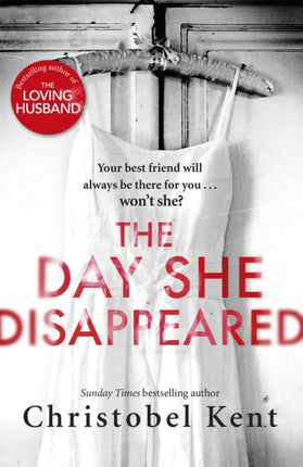 The Day She Disappeared: From the bestselling author of The Loving Husband