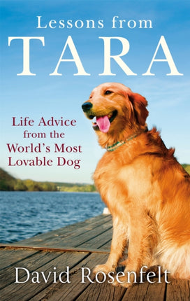 Lessons from Tara Life Advice from the Worlds Most Brilliant Dog