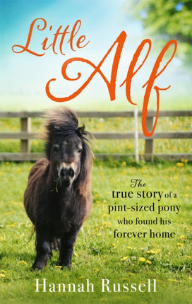 Little Alf: The true story of a pint-sized pony who found his forever home