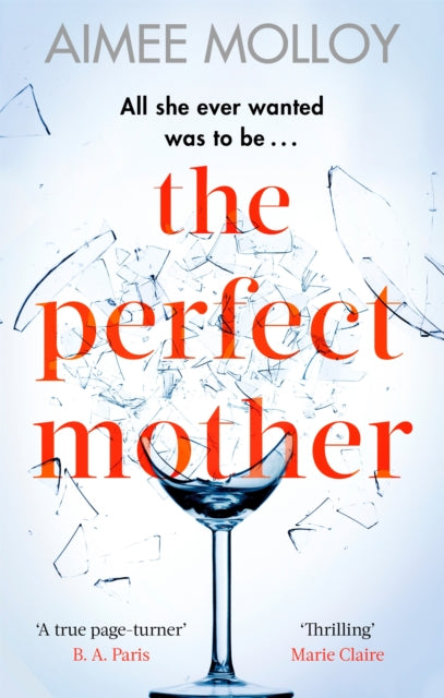 The Perfect Mother: A gripping thriller with a nail-biting twist