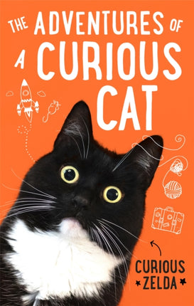 The Adventures of a Curious Cat wit and wisdom