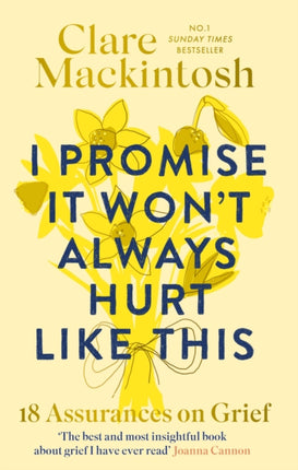 I Promise It Wont Always Hurt Like This