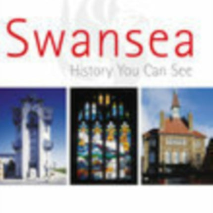 Swansea: History You Can See