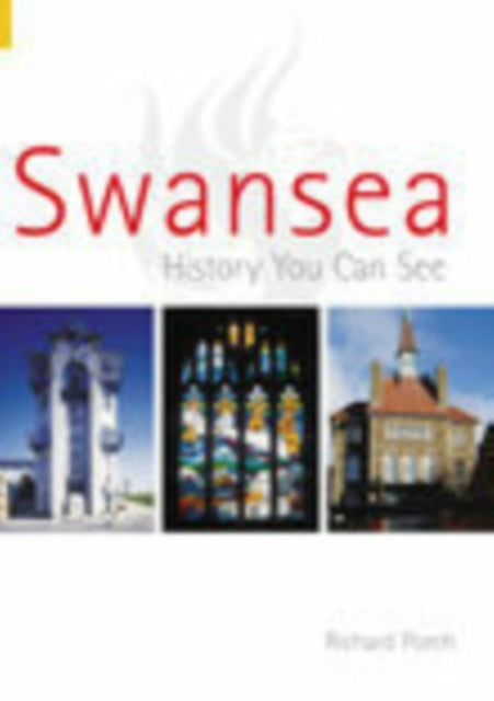 Swansea: History You Can See