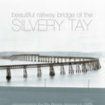 The Beautiful Railway Bridge of the Silvery Tay: Reinvestigating the Tay Bridge Disaster of 1879