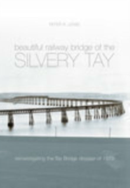 The Beautiful Railway Bridge of the Silvery Tay: Reinvestigating the Tay Bridge Disaster of 1879