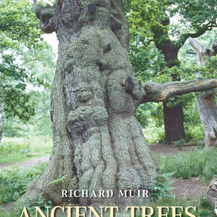 Ancient Trees, Living Landscapes