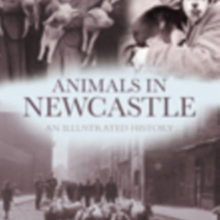 Animals in Newcastle: An Illustrated History