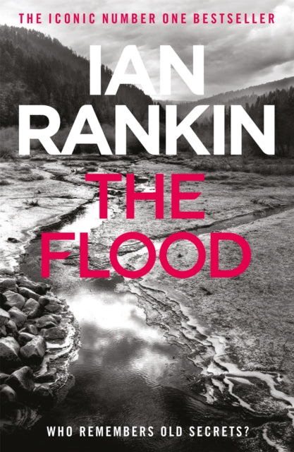 The Flood: From the iconic #1 bestselling author of A SONG FOR THE DARK TIMES