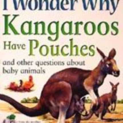 I Wonder Why Kangaroos Have Pouches