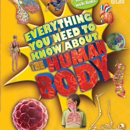 Everything You Need To Know About The Human Body