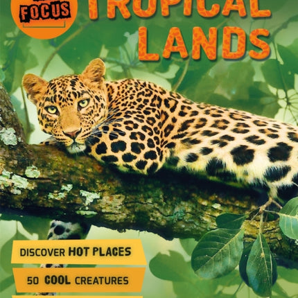 In Focus: Tropical Lands