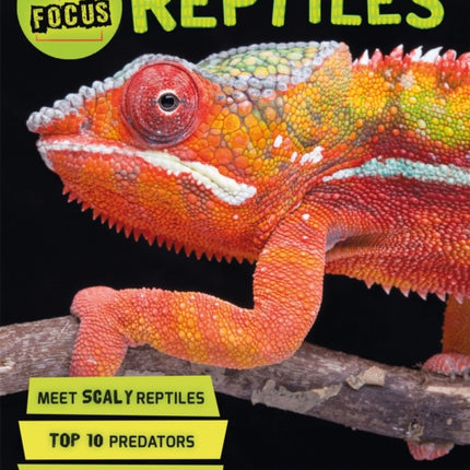 In Focus: Reptiles