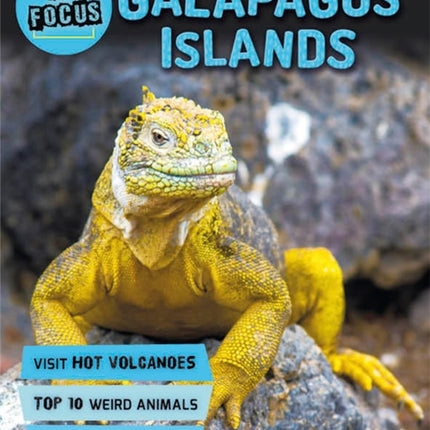 In Focus: Galapagos Islands