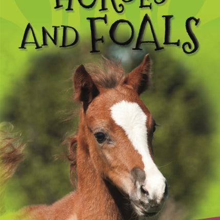 It's all about... Horses and Foals