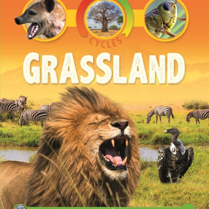 Life Cycles: Grassland